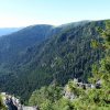 p932_falaises du sentier des roches vues du spitzenfels copier
